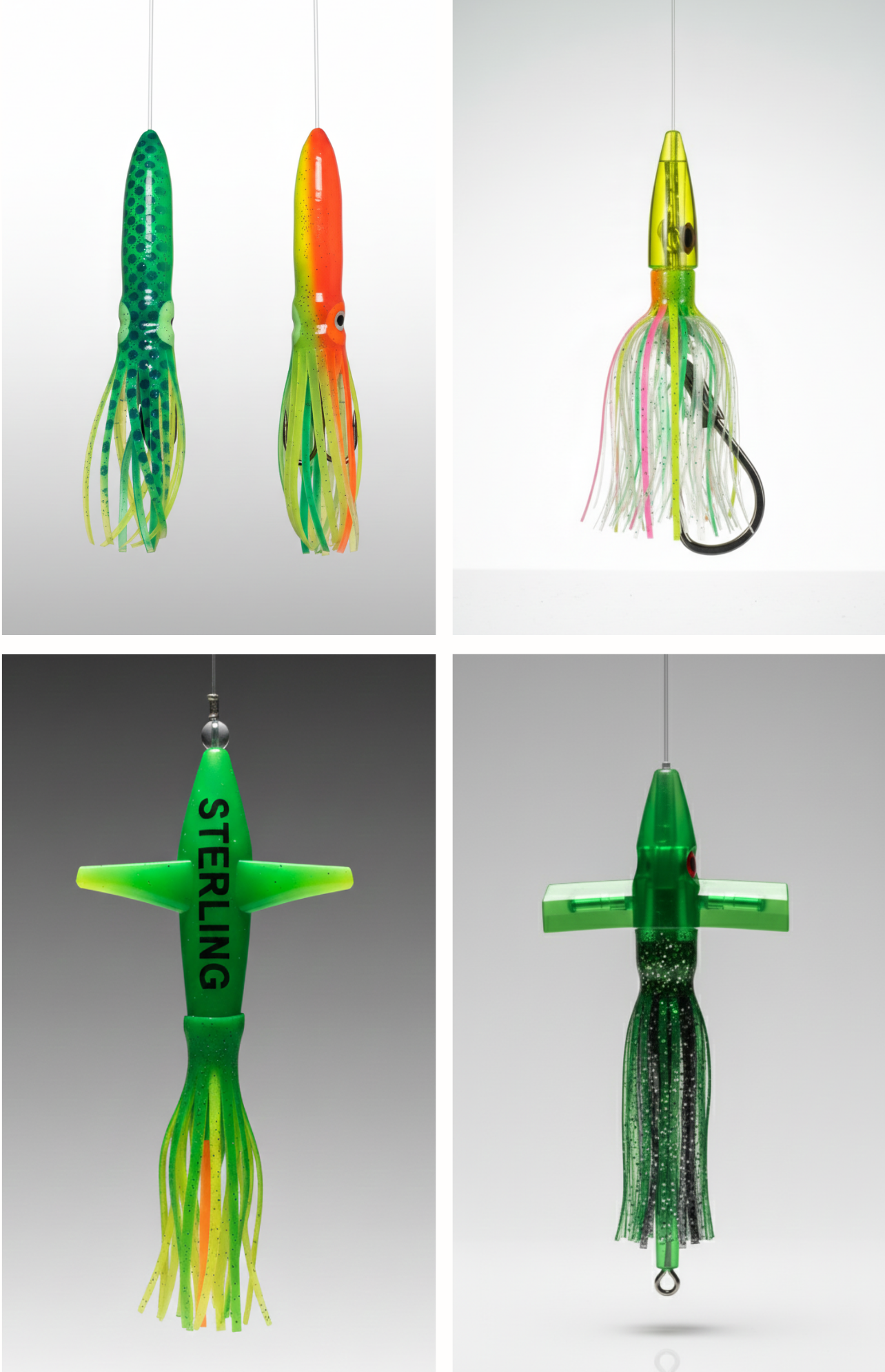 Gran Sterling Calamar Bulbo